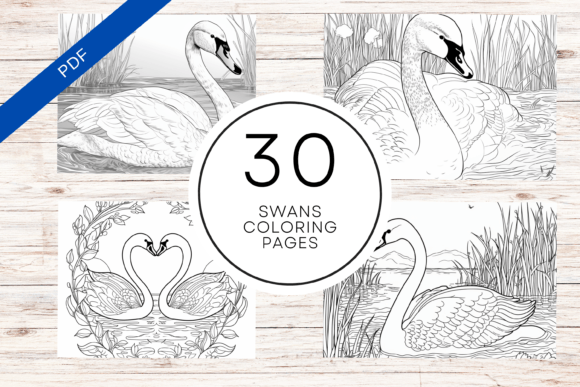 Beautiful Swans Coloring Book